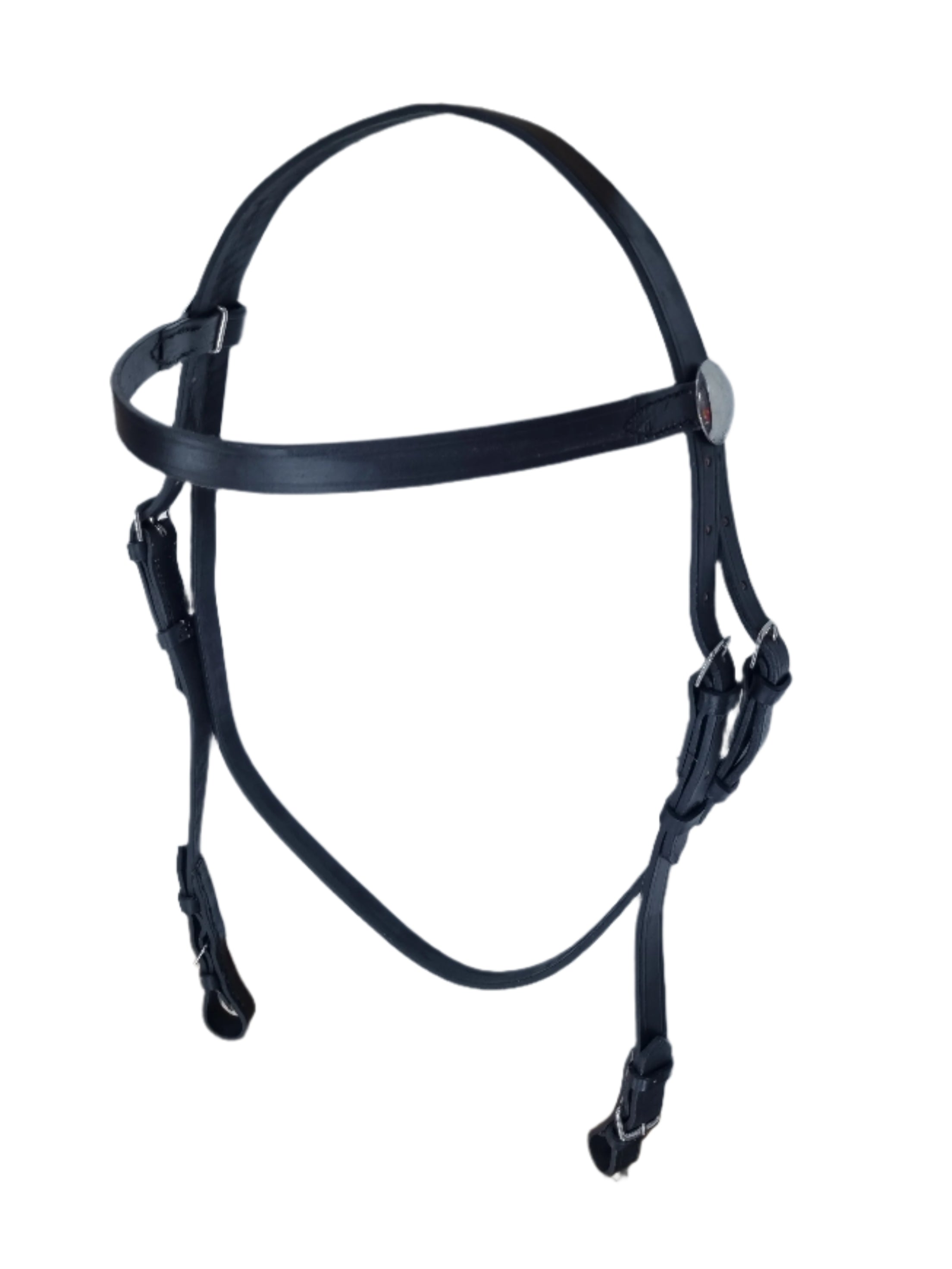 Bridle Showing In Hand Solo